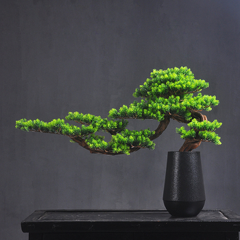 Drveni bonsai s rezbarijom korijena za ulazni prostor kuće