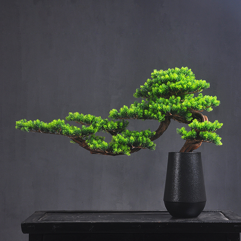 Drveni bonsai s rezbarijom korijena za ulazni prostor kuće