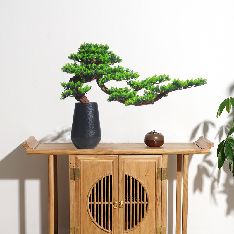 Drveni bonsai s rezbarijom korijena za ulazni prostor kuće
