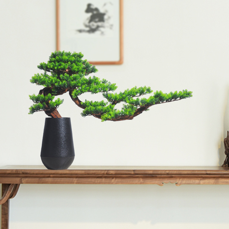 Drveni bonsai s rezbarijom korijena za ulazni prostor kuće