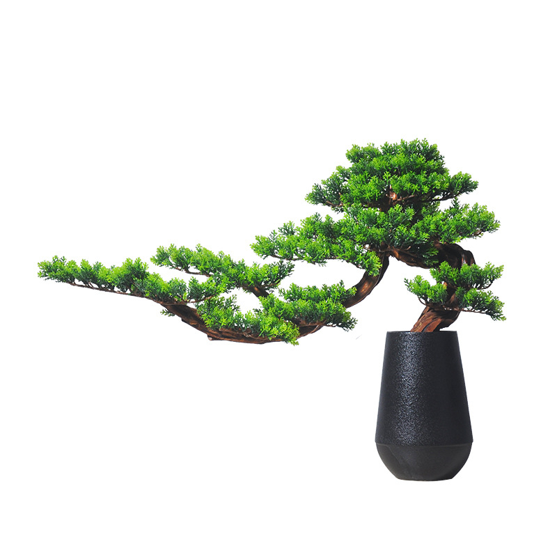 Drveni bonsai s rezbarijom korijena za ulazni prostor kuće