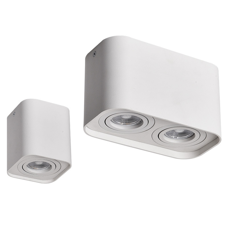 Dvojno GU10 stropno LED svjetlo, dnevni boravak, podesiv kut snopa