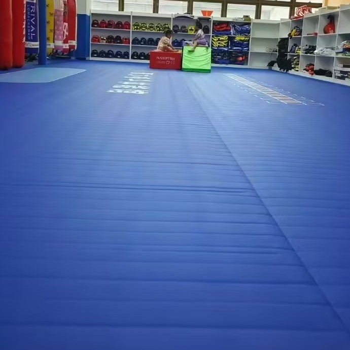 Visokodensitetni mat za borilačke vještine s protukliznom površinom, XPE materijal, za Taekwondo i Sanda