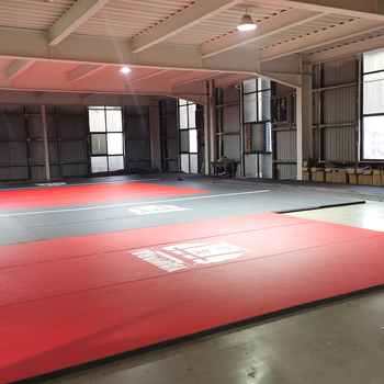 Podloga za borilačke vještine i Taekwondo s XPE pjenu, mekana zaštita za djecu, antikolizijska, jednostavna za čišćenje, rolna prostirka za teretanu