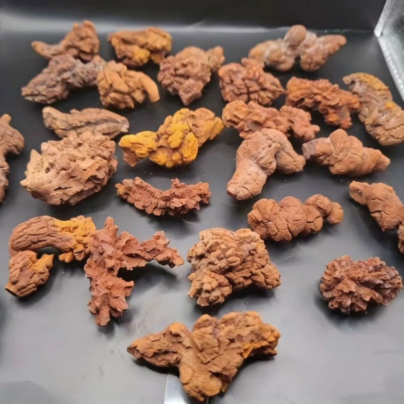 Dinozaurski koprolitni fosil, prirodni bijeli kristal, geometrijski ukras.