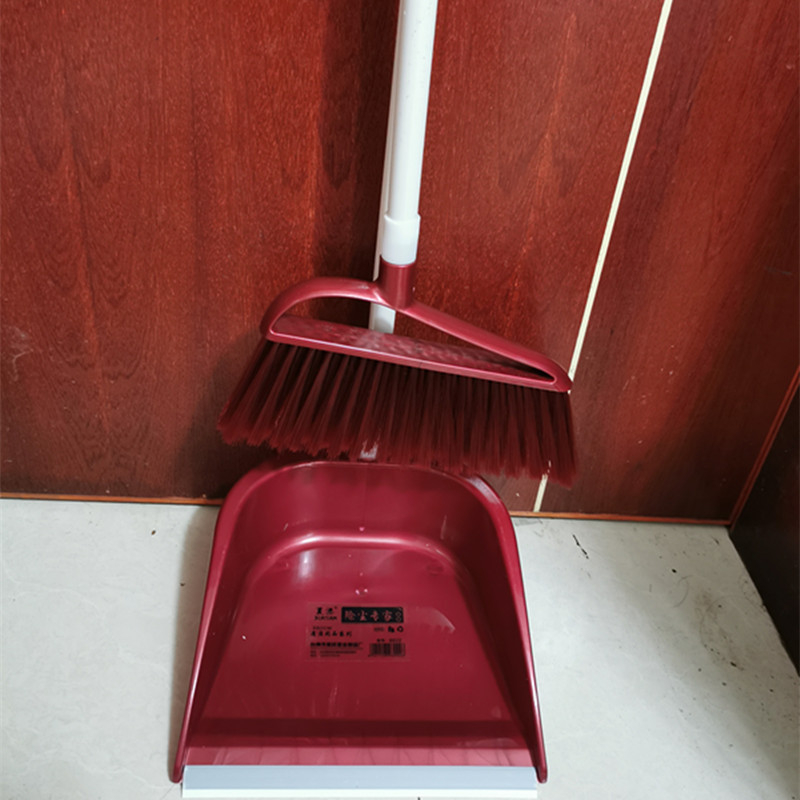 New Leap plastični set metla i lopatica za prašinu s dugim držalom – kućno čišćenje
