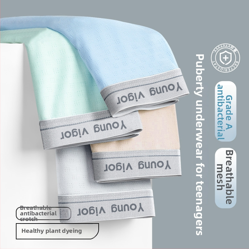 Младежки мъжки боксерки от ice silk за лято, дишащи, антибактериални, голям размер