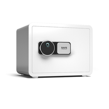 Seif biometric pentru casă, compact, din oțel integral, anti-furt, pentru dulap și birou, depozitare a obiectelor de valoare