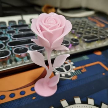 3D ispisan plastični poklon za Valentinovo djevojci, stolna dekoracija za dnevni boravak i spavaću sobu, ukras za par