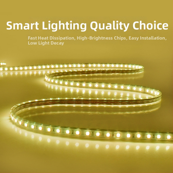 RGB LED pásik 5050, 220V, vonkajší, vodotesný, farebný gradient osvetlenie