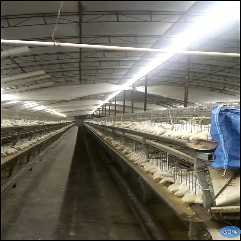 LED traka, niskonaponska 24–36 V, vanjsko osvjetljenje za tunele, garaže, rudnike i podrume, duljina 100 m