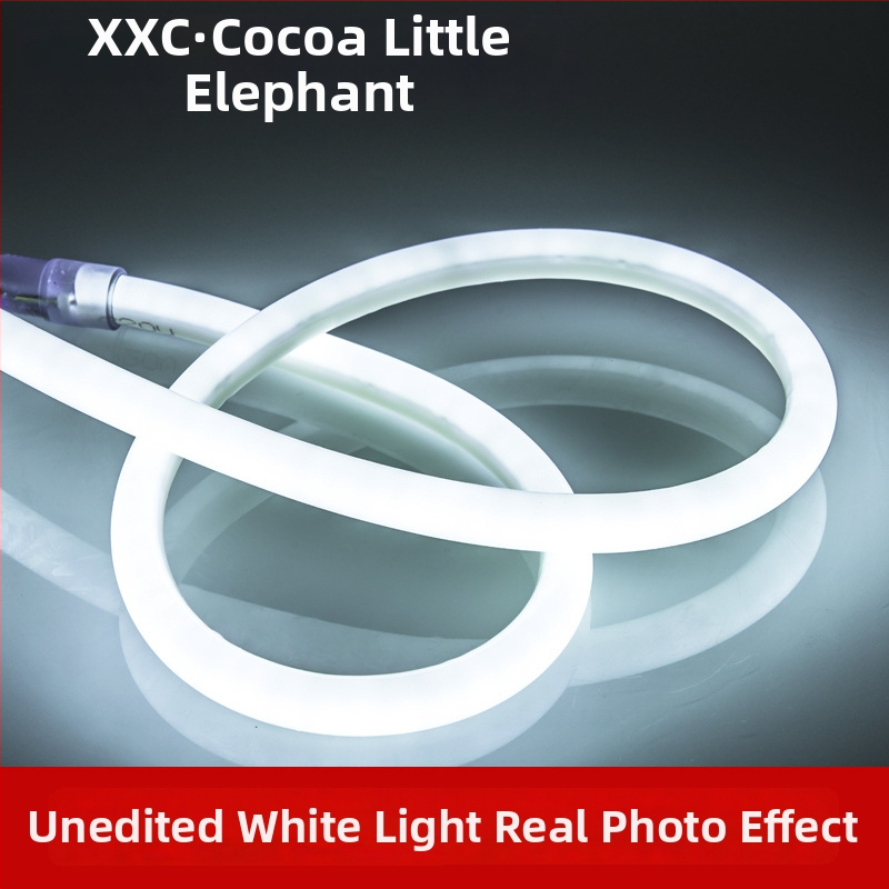 LED flexibilná neónová lampa pre kruhový reklamný znak, vodotesná, biela svetelná farba, 220V, LED 2835, do šatníka