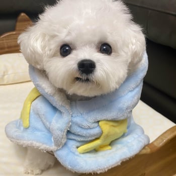 Fleecový plášť pre psa na jeseň a zimu, plyšové oblečenie v štýle deky pre malé a stredné psy (Bichon Frisé/Teddy)