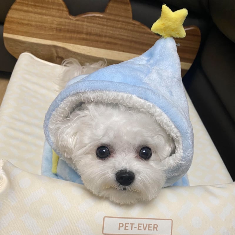 Fleecový plášť pre psa na jeseň a zimu, plyšové oblečenie v štýle deky pre malé a stredné psy (Bichon Frisé/Teddy)