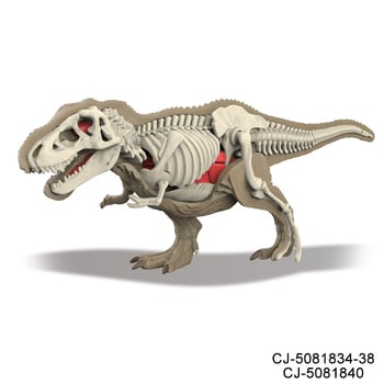 Vzdelávacia hra dinosaurových fosílií – archeologická stavebnica pre deti, DIY zostavenie kostry a anatómia zvierat