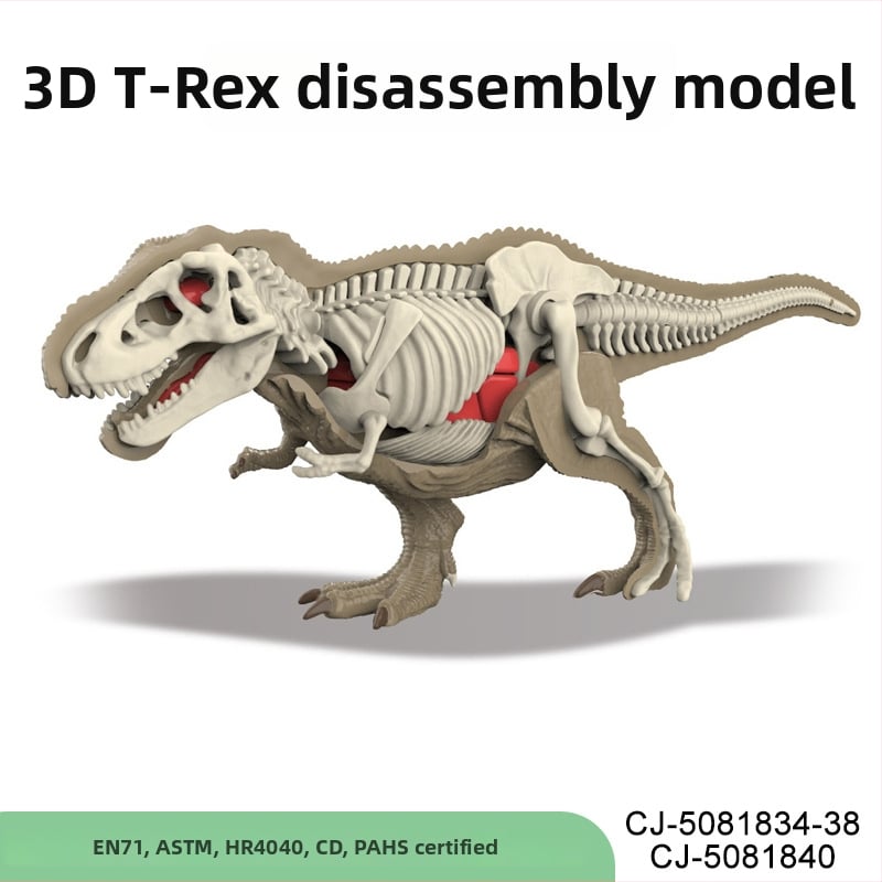 Vzdelávacia hra dinosaurových fosílií – archeologická stavebnica pre deti, DIY zostavenie kostry a anatómia zvierat