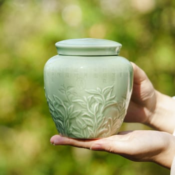 Keramički čajni spremnik s darovnom kutijom i platnenom vrećom – Longjing, Bi Luo Chun i Maojian za zelene čajeve