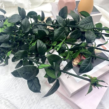Örök rózsa ág üvegkupolával, DIY kiállításhoz tartó, levelekkel, egyetlen szár