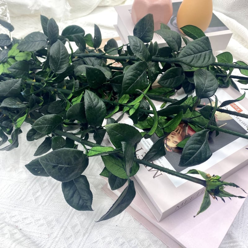 Örök rózsa ág üvegkupolával, DIY kiállításhoz tartó, levelekkel, egyetlen szár