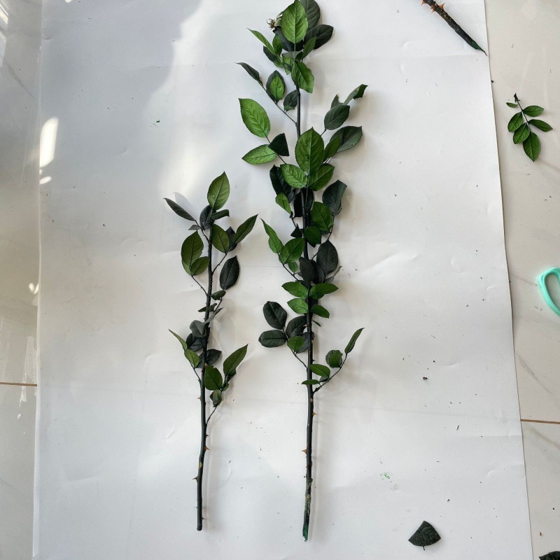 Örök rózsa ág üvegkupolával, DIY kiállításhoz tartó, levelekkel, egyetlen szár