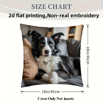 Μαξιλαροθήκη με μοτίβο Border Collie, εκτύπωση μονής όψης, κατάλληλη για διακόσμηση σαλονιού, χωρίς γέμισμα