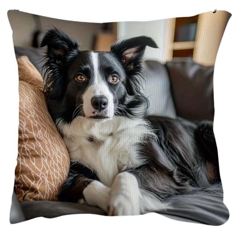 Μαξιλαροθήκη με μοτίβο Border Collie, εκτύπωση μονής όψης, κατάλληλη για διακόσμηση σαλονιού, χωρίς γέμισμα