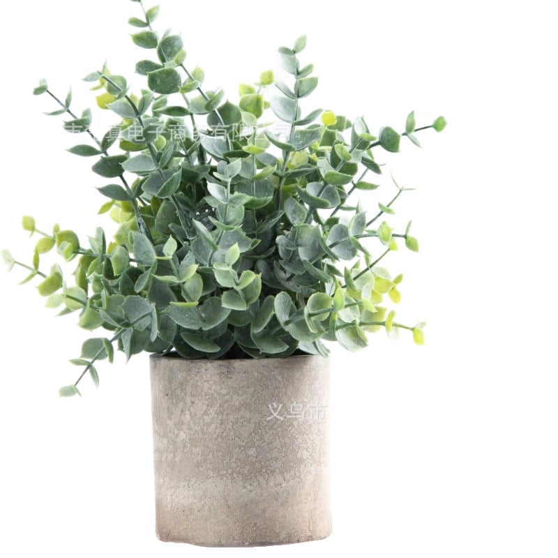 Élethű eukaliptusz bonsai - dekoratív növény nappalira és íróasztalra