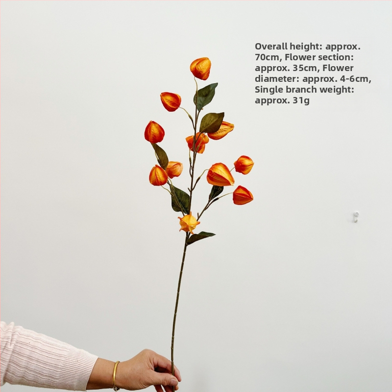 Umelé kvety s ovocím lampáša na dekoráciu domácnosti a rekvizity na svadobné fotografie