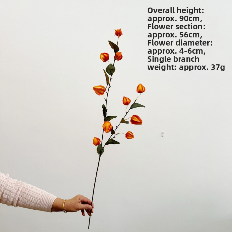Umelé kvety s ovocím lampáša na dekoráciu domácnosti a rekvizity na svadobné fotografie