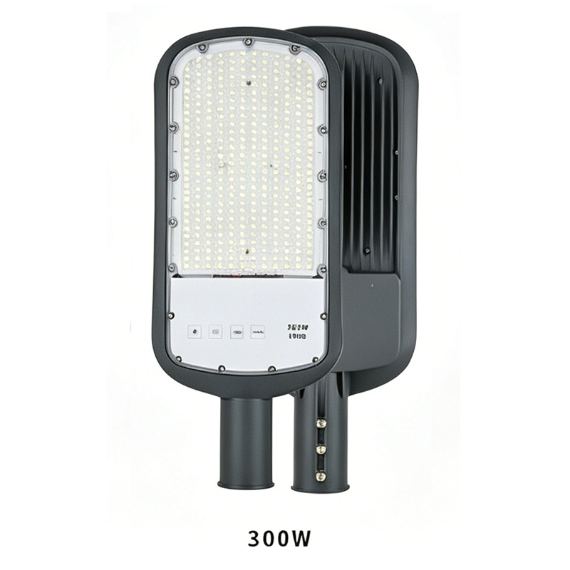 100W LED κεφαλή οδικού φωτισμού εξωτερικού χώρου IP66, ενσωματωμένος φωτισμός για κήπο και αυλή