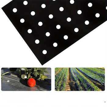Folie izolatoare din plastic pentru agricultură, folie de mulc neagră perforată pentru răsaduri, fără perforare necesară, folie de acoperire pentru grădină