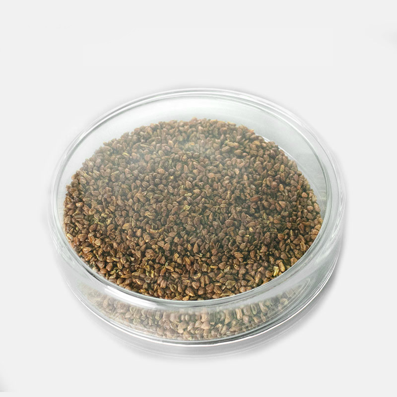 Vase pentru cultură din sticlă, sticlă borosilicată înaltă, plăci Petri din sticlă plate, diametrul 60 mm