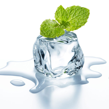 Cuburi de gheață acrilice și felii de lămâie, accesorii foto pentru stilizarea alimentelor