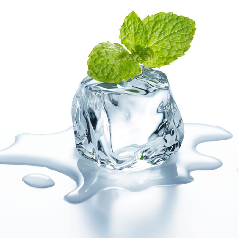Cuburi de gheață acrilice și felii de lămâie, accesorii foto pentru stilizarea alimentelor