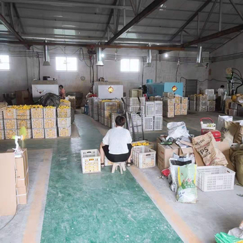 Șurubelniță duală magnetic izolat, tijă scurtă subțire, cap dublu, mâner PC+TPR, oțel crom-vanadiu