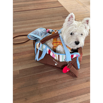 Geantă de transport pentru pisici Colorful Stripes pentru călătorii cu mașina și picnicuri în aer liber — mână și curea crossbody, compatibilă cu cabina avionului