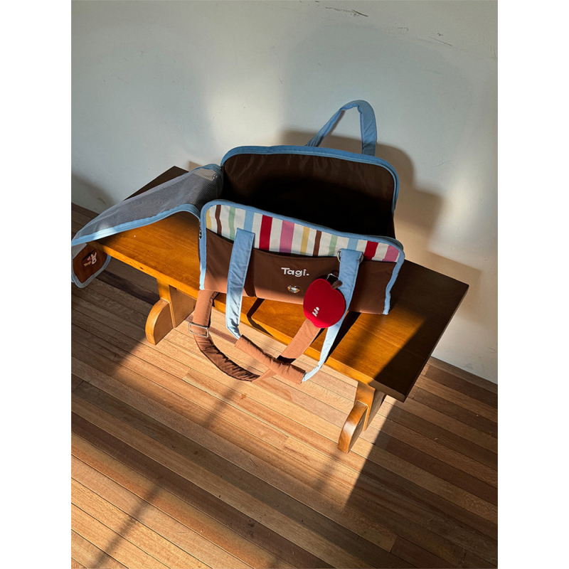 Geantă de transport pentru pisici Colorful Stripes pentru călătorii cu mașina și picnicuri în aer liber — mână și curea crossbody, compatibilă cu cabina avionului