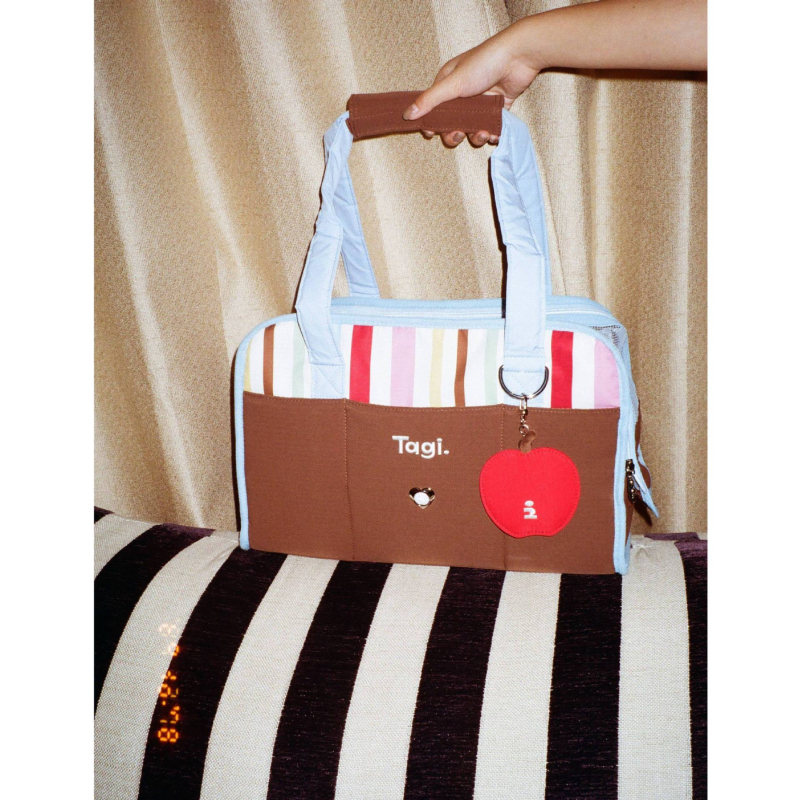 Geantă de transport pentru pisici Colorful Stripes pentru călătorii cu mașina și picnicuri în aer liber — mână și curea crossbody, compatibilă cu cabina avionului