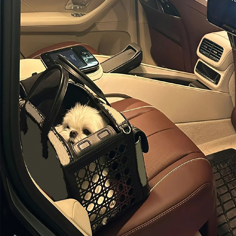 Geantă de transport de lux pentru animale de companie, pentru câini și pisici de talie mică, transportator pentru călătorii aeriene cu imprimeu litere