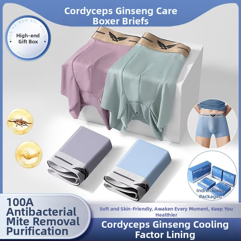 Ginseng Care boxeri bărbați – răcire de vară, fără cusături, antibacterian, ambalate individual, mărime plus, 100A