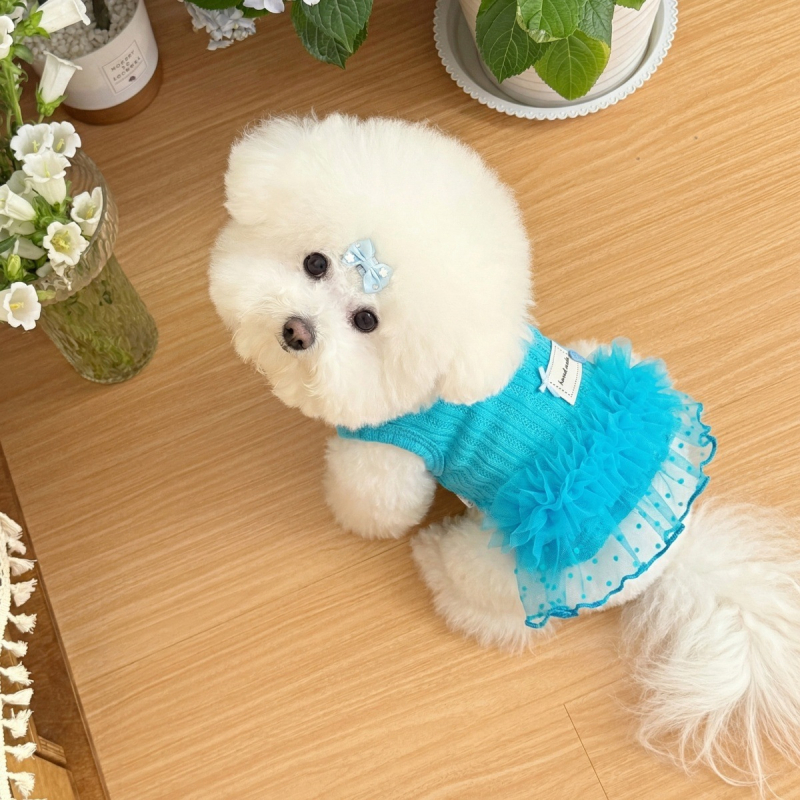 Fustă pentru animale de companie, primăvară-vară, ușoară și respirabilă, pentru câini și pisici (Malteză, Shih Tzu, Bichon Frise)