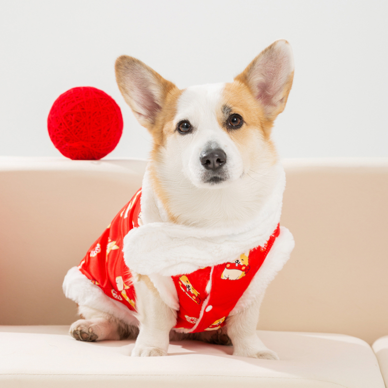 Haine de iarnă pentru animale de companie, palton din bumbac cu imprimare integrală și eșarfă, costum Tang pentru Anul Nou Chinezesc, pentru câini și pisici mici și medii.