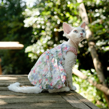Fustă florală cu dovleac pentru pisică Sphynx fără păr - stil prințesă drăguț