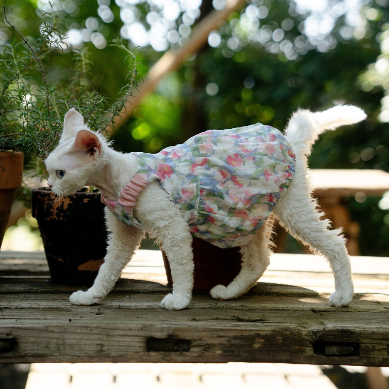 Fustă florală cu dovleac pentru pisică Sphynx fără păr - stil prințesă drăguț