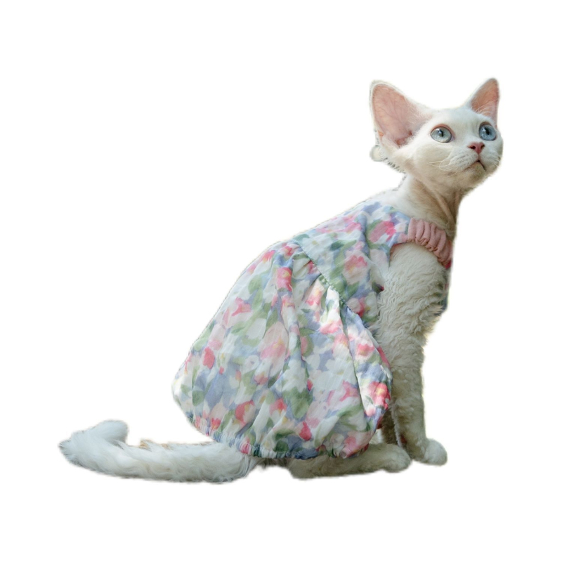 Fustă florală cu dovleac pentru pisică Sphynx fără păr - stil prințesă drăguț