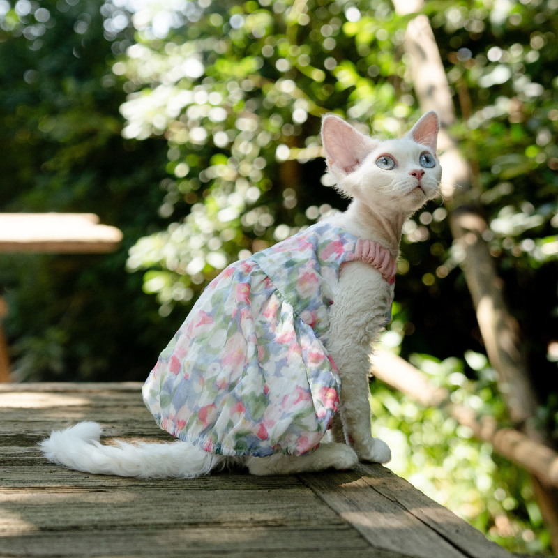Fustă florală cu dovleac pentru pisică Sphynx fără păr - stil prințesă drăguț