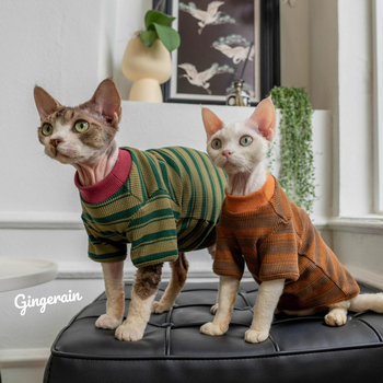 Tricou pentru pisici ușor, cu guler rotund, pentru primăvară-toamnă; model de bază pentru pisicile ragdoll, fără blană și pisici cu dungi