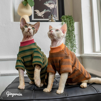 Tricou pentru pisici ușor, cu guler rotund, pentru primăvară-toamnă; model de bază pentru pisicile ragdoll, fără blană și pisici cu dungi