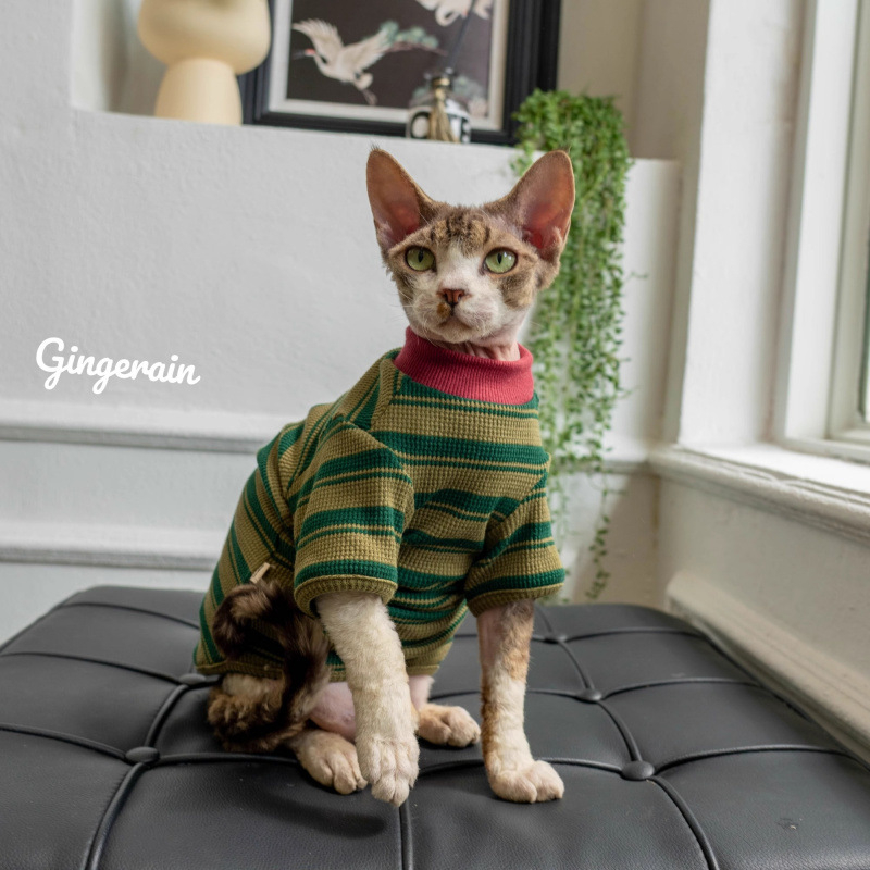 Tricou pentru pisici ușor, cu guler rotund, pentru primăvară-toamnă; model de bază pentru pisicile ragdoll, fără blană și pisici cu dungi