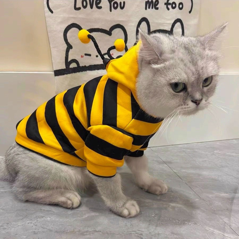Hanorac pentru pisici toamnă–iarna, cu model drăgălaș de albină, călduros pentru Ragdoll/British Shorthair, gradient argintiu, haină cu două picioare